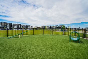 Dog parks with dog agility equipment